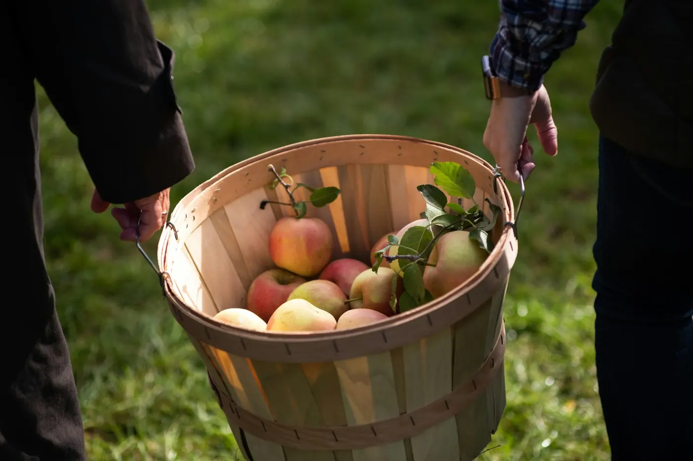 Een houten mand vol rode en groene appels in het gras.
