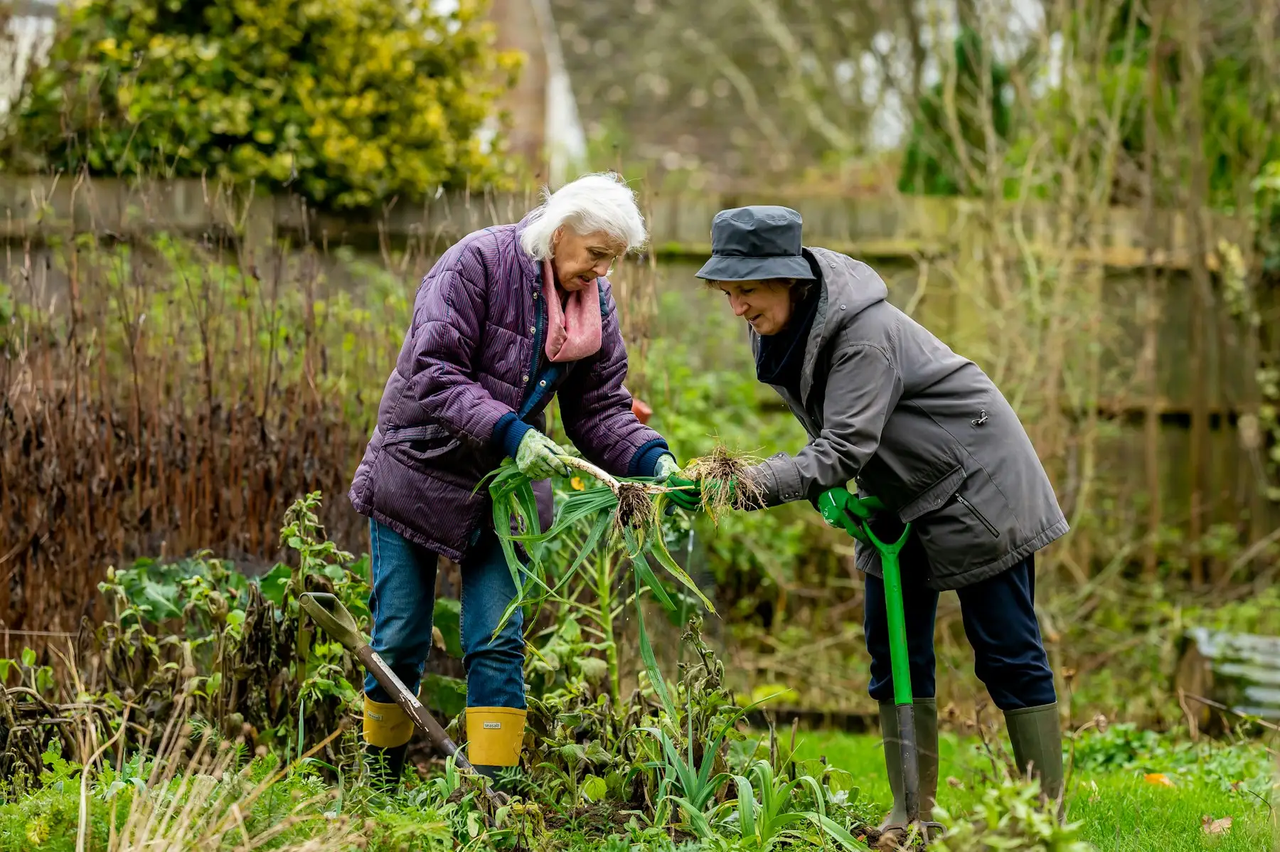 Twee oudere vrouwen werken samen in de tuin